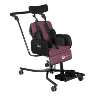 aura-home-special-strollers