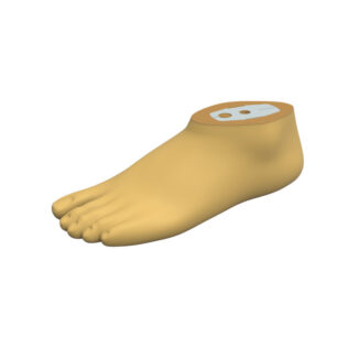 sach-pro-foot